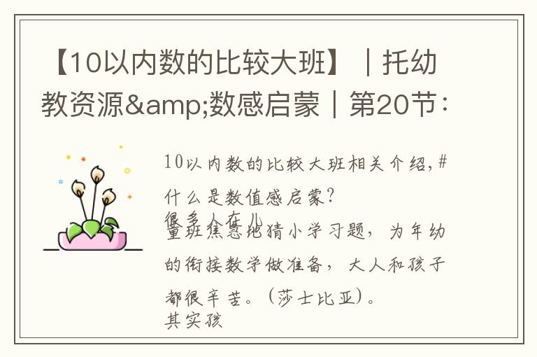 【10以内数的比较大班】|托幼教资源&数感启蒙|第20节:10以内计数并标出总数练习