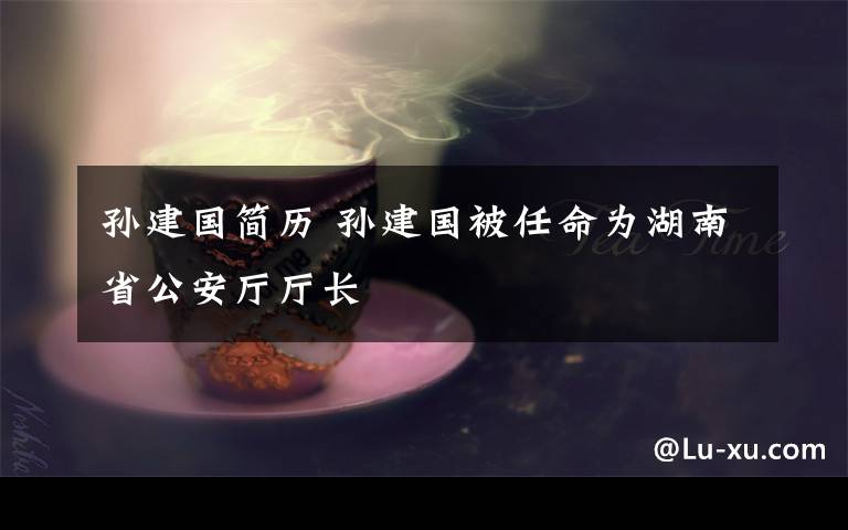 孙建国简历 孙建国被任命为湖南省公安厅厅长
