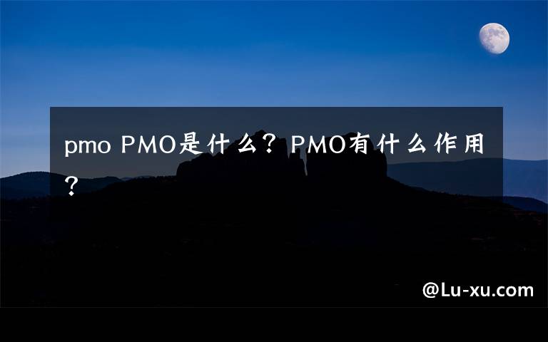 pmo PMO是什么?PMO有什么作用?