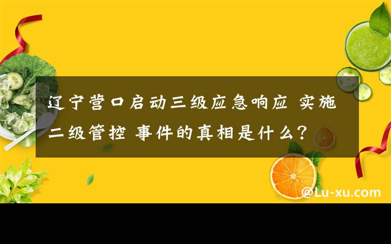 辽宁营口启动三级应急响应 实施二级管控 事件的真相是什么?