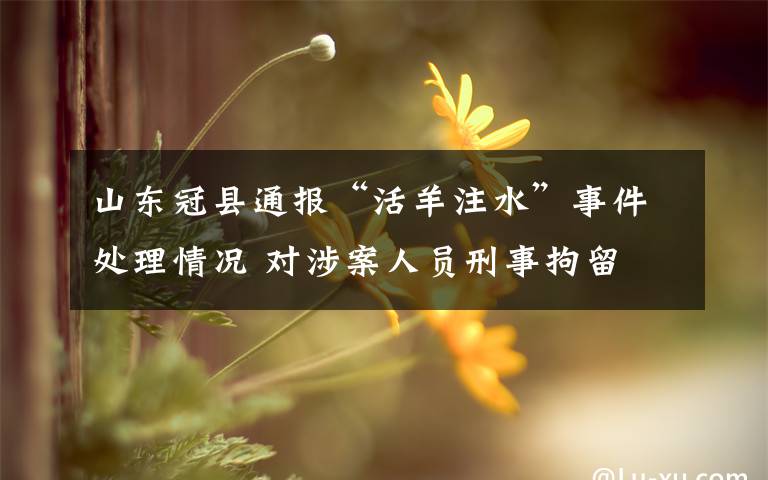 山东冠县通报“活羊注水”事件处理情况 对涉案人员刑事拘留 事情经过真相揭秘!
