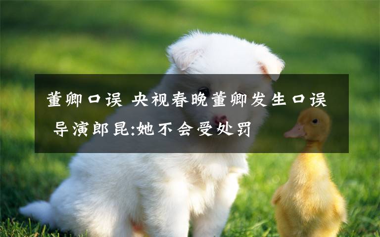 董卿口误 央视春晚董卿发生口误 导演郎昆:她不会受处罚