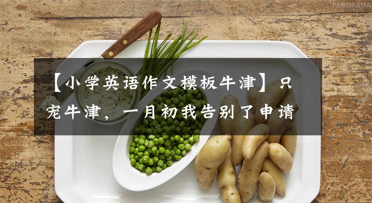 【小学英语作文模板牛津】只宠牛津,一月初我告别了申请季