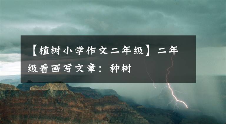 【植树小学作文二年级】二年级看画写文章:种树