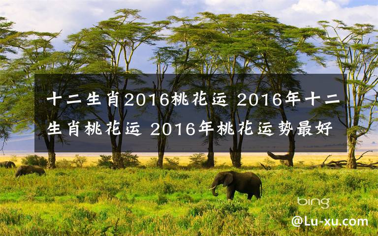 十二生肖2016桃花运 2016年十二生肖桃花运 2016年桃花运势最好的生肖