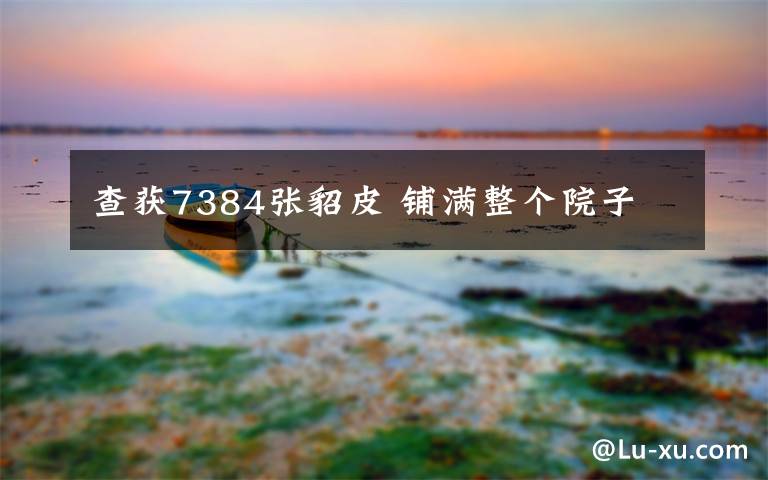 查获7384张貂皮 铺满整个院子