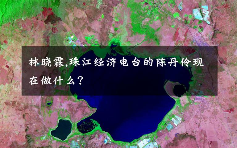 林晓霖,珠江经济电台的陈丹伶现在做什么?