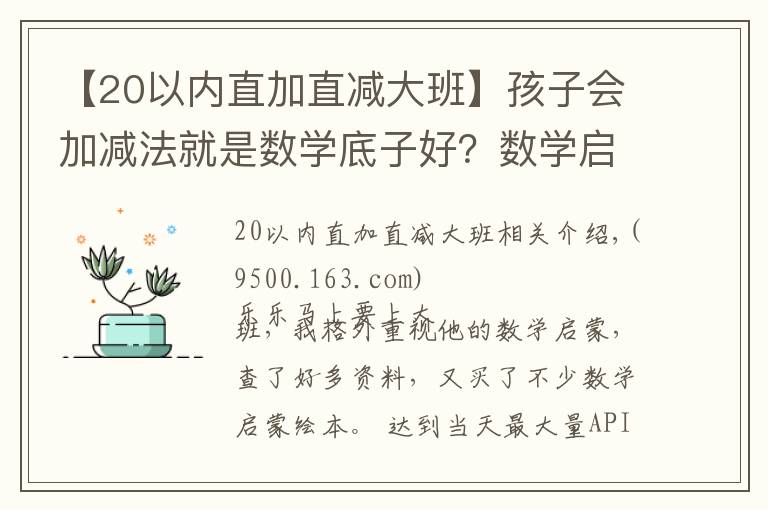 【20以内直加直减大班】孩子会加减法就是数学底子好?数学启蒙的要点,很多家长没get到