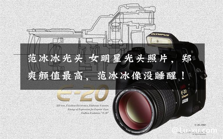 范冰冰光头 女明星光头照片,郑爽颜值最高,范冰冰像没睡醒!