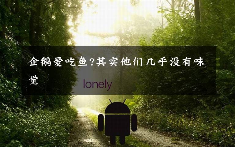 企鹅爱吃鱼?其实他们几乎没有味觉