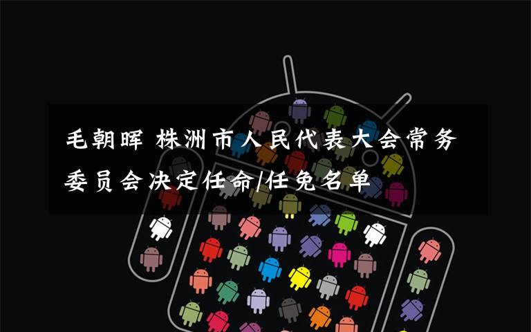 毛朝晖 株洲市人民代表大会常务委员会决定任命/任免名单