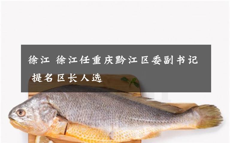 徐江 徐江任重庆黔江区委副书记 提名区长人选