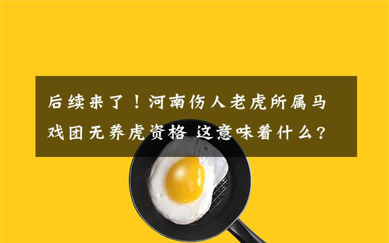 后续来了！河南伤人老虎所属马戏团无养虎资格 这意味着什么?