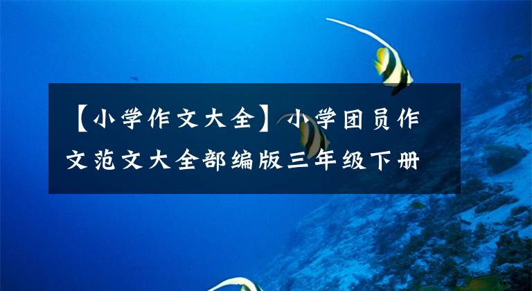 【小学作文大全】小学团员作文范文大全部编版三年级下册全体范文,请尽快收藏。