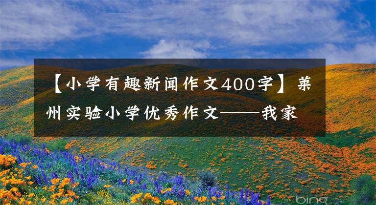 【小学有趣新闻作文400字】莱州实验小学优秀作文——我家新工作