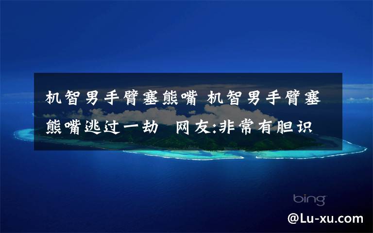 机智男手臂塞熊嘴 机智男手臂塞熊嘴逃过一劫  网友:非常有胆识!