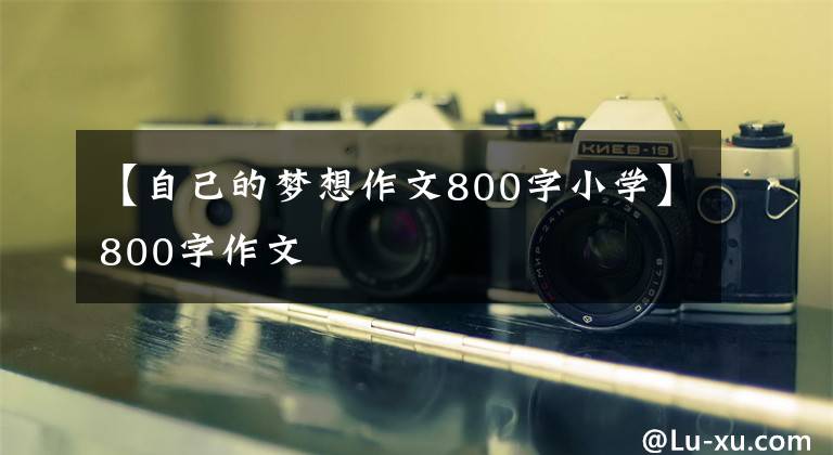 【自己的梦想作文800字小学】800字作文