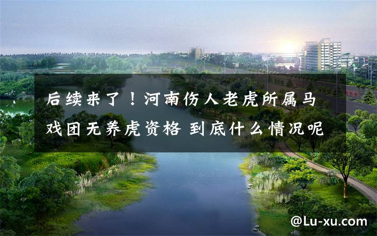 后续来了！河南伤人老虎所属马戏团无养虎资格 到底什么情况呢？
