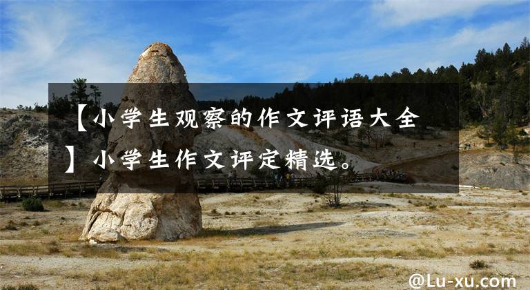 【小学生观察的作文评语大全】小学生作文评定精选。