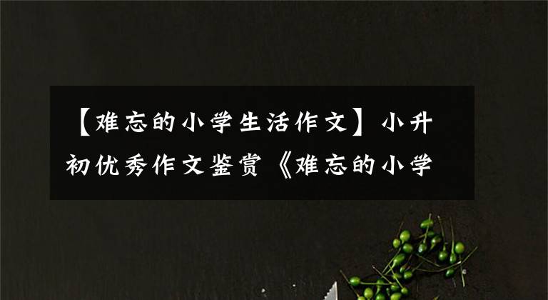 【难忘的小学生活作文】小升初优秀作文鉴赏《难忘的小学生活》