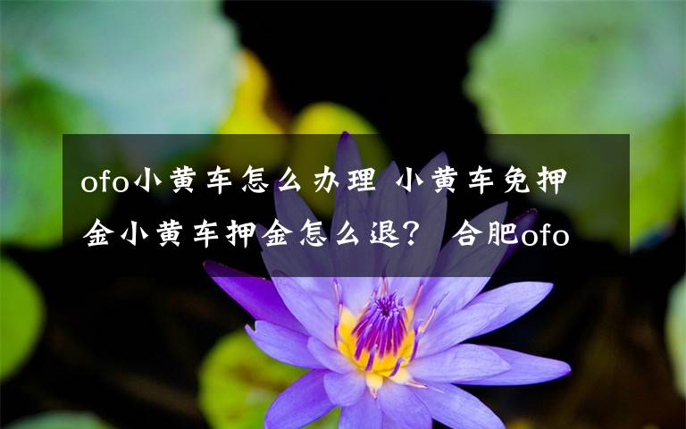 ofo小黄车怎么办理 小黄车免押金小黄车押金怎么退? 合肥ofo小黄车退押金方法及操作指南