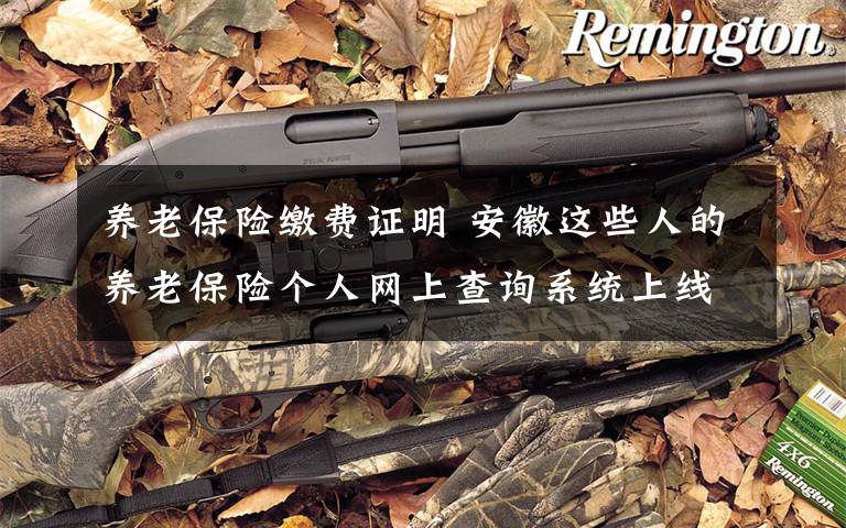 养老保险缴费证明 安徽这些人的养老保险个人网上查询系统上线啦!在家就可以打印参保证明