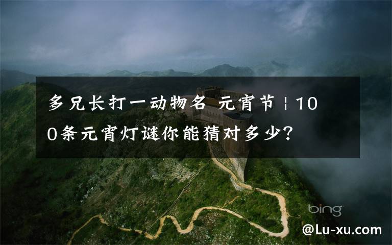 多兄长打一动物名 元宵节 | 100条元宵灯谜你能猜对多少？
