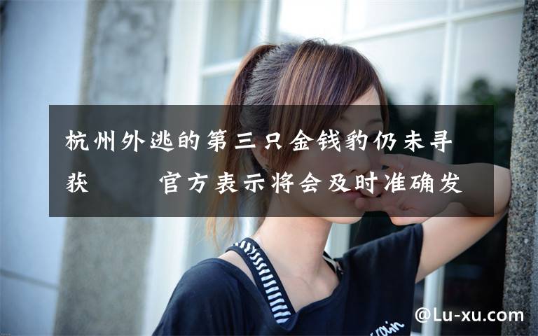 杭州外逃的第三只金钱豹仍未寻获 官方表示将会及时准确发布工作进展情况 事情的详情始末是怎么样了!