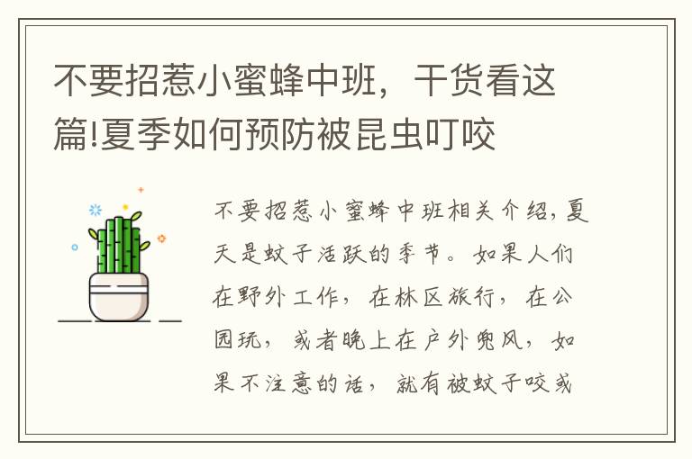 不要招惹小蜜蜂中班，干货看这篇!夏季如何预防被昆虫叮咬