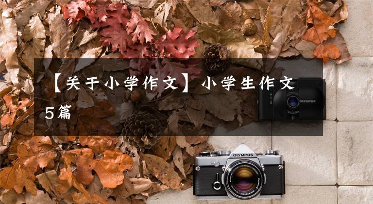 【关于小学作文】小学生作文5篇