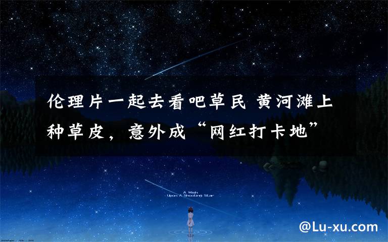 伦理片一起去看吧草民 黄河滩上种草皮,意外成“网红打卡地” 一天3000人打卡,本周六起开收入园费