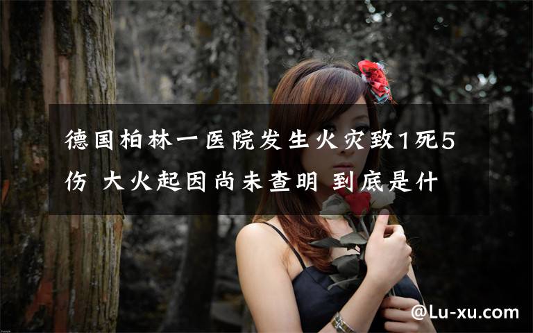 德国柏林一医院发生火灾致1死5伤 大火起因尚未查明 到底是什么状况?