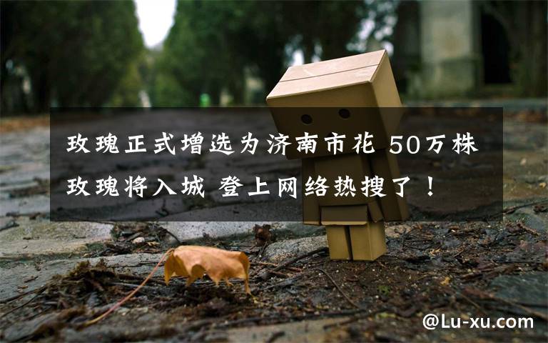 玫瑰正式增选为济南市花 50万株玫瑰将入城 登上网络热搜了！