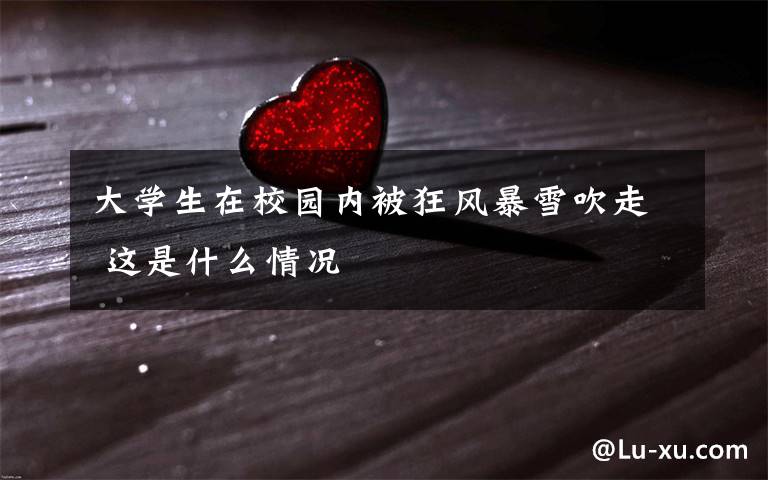 大学生在校园内被狂风暴雪吹走 这是什么情况