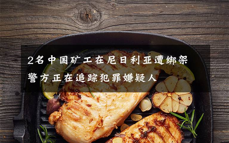 2名中国矿工在尼日利亚遭绑架 警方正在追踪犯罪嫌疑人