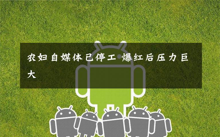 农妇自媒体已停工 爆红后压力巨大