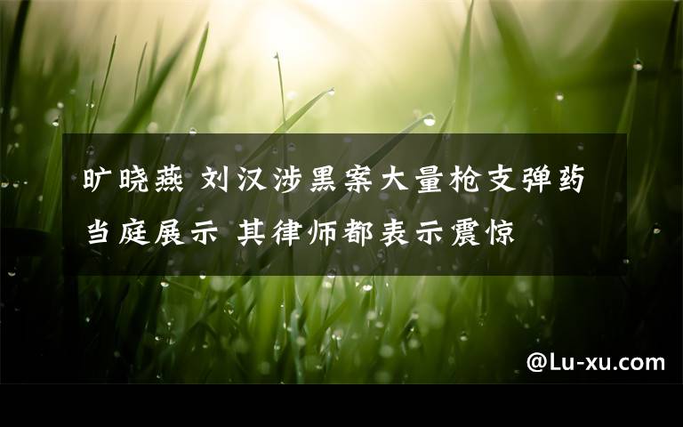 旷晓燕 刘汉涉黑案大量枪支弹药当庭展示 其律师都表示震惊