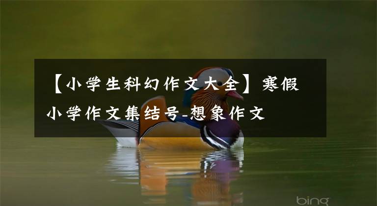 【小学生科幻作文大全】寒假小学作文集结号-想象作文
