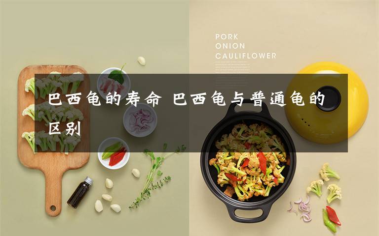 巴西龟的寿命 巴西龟与普通龟的区别