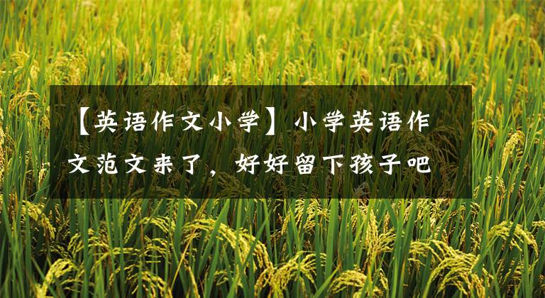 【英语作文小学】小学英语作文范文来了，好好留下孩子吧，寒假超车必不可少！