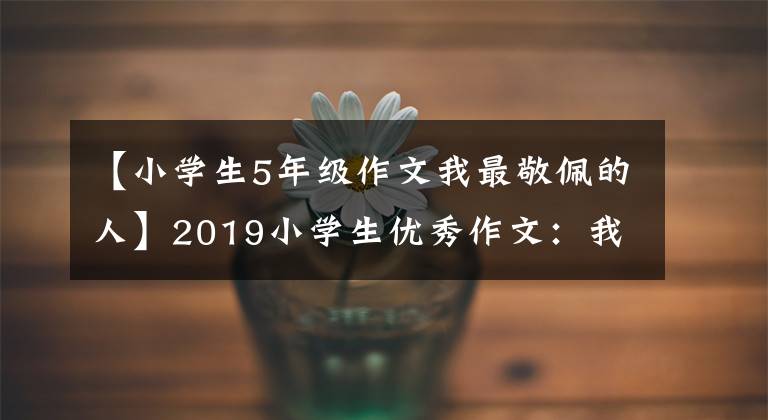 【小学生5年级作文我最敬佩的人】2019小学生优秀作文：我最尊敬的人。