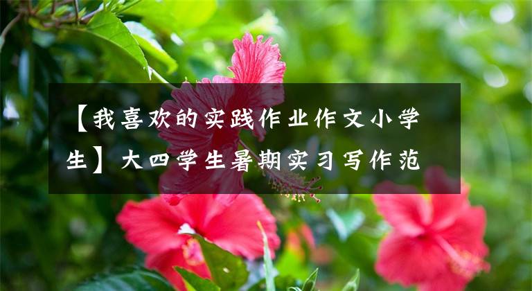 【我喜欢的实践作业作文小学生】大四学生暑期实习写作范例—— 《一次有趣的实验》