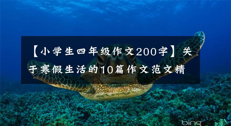 【小学生四年级作文200字】关于寒假生活的10篇作文范文精选