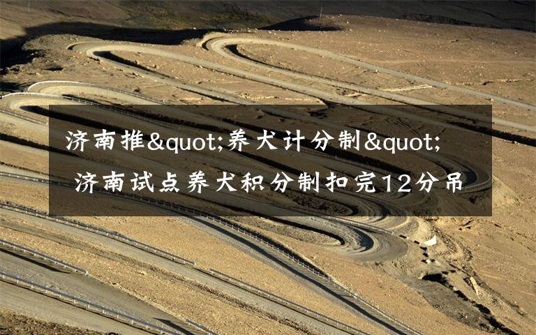 济南推"养犬计分制" 济南试点养犬积分制扣完12分吊销狗证