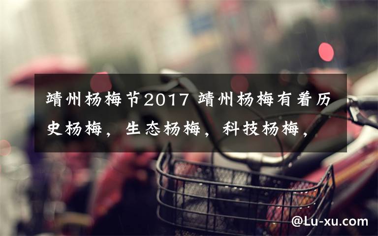 靖州杨梅节2017 靖州杨梅有着历史杨梅，生态杨梅，科技杨梅，响水村文化杨梅博物馆
