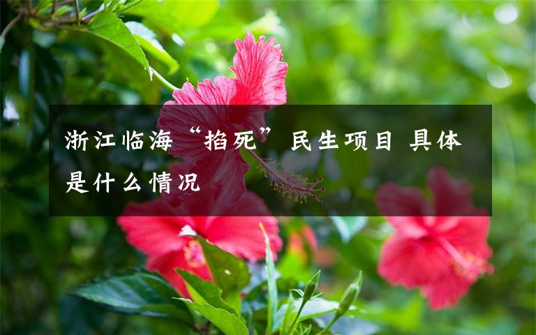 浙江临海“掐死”民生项目 具体是什么情况