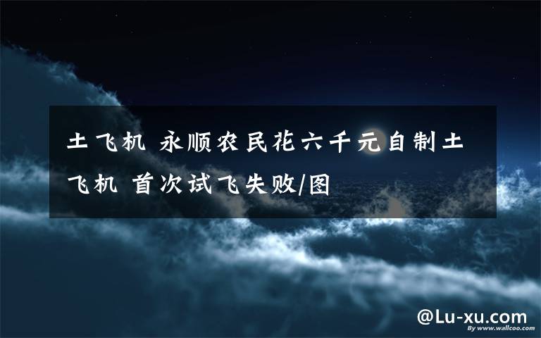 土飞机 永顺农民花六千元自制土飞机 首次试飞失败/图