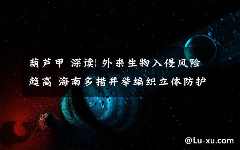 葫芦甲 深读| 外来生物入侵风险趋高 海南多措并举编织立体防护网