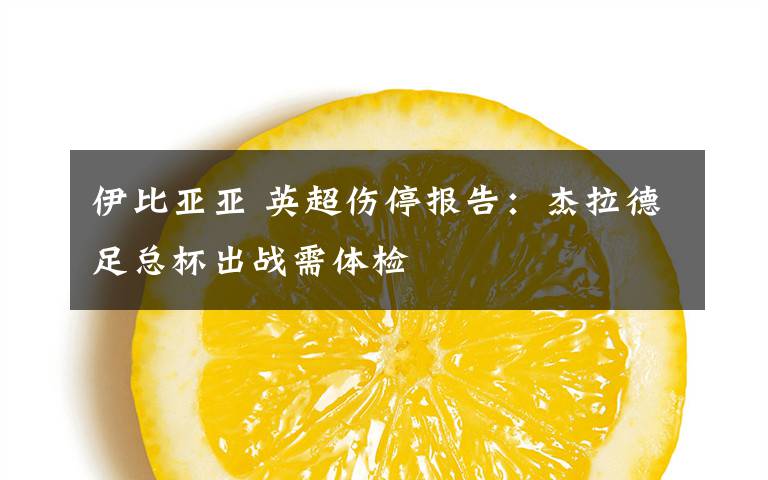 伊比亚亚 英超伤停报告:杰拉德足总杯出战需体检