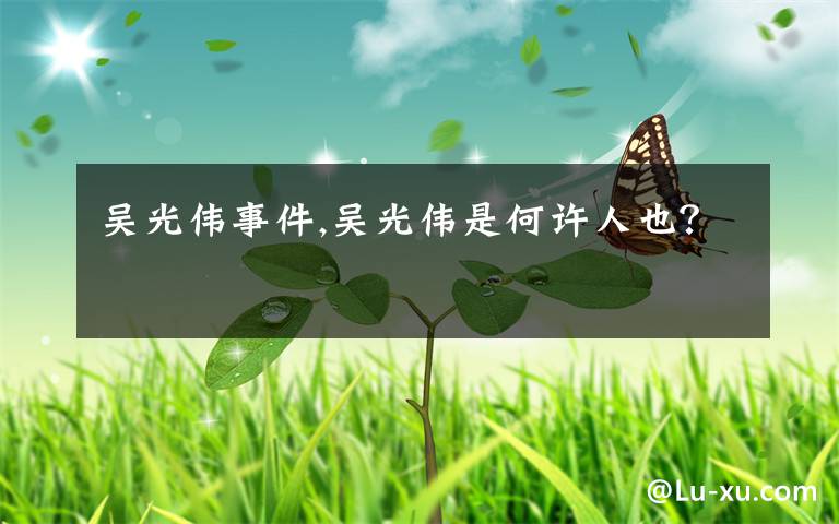 吴光伟事件,吴光伟是何许人也?